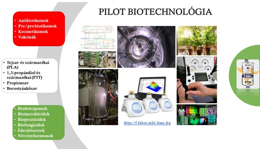 Műszaki biokémia – alkalmazott mikrobiológia